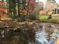 日光田母沢御用邸記念公園の写真_396030