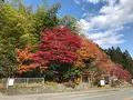 神橋の写真_396040