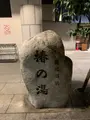 道後温泉 椿の湯の写真_396560
