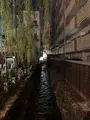 道後温泉駅の写真_396579