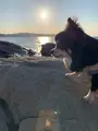 沖ノ島海水浴場の写真_397103