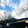 GARDEN HOUSE Kamakura（ガーデンハウス）の写真_398540