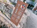 円満寺の写真_398741