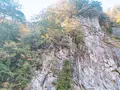 面河渓の写真_398765