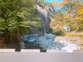面河渓の写真_398769