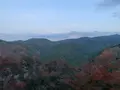 八十吉(やそきち)の写真_398845