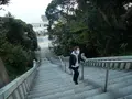 大洗磯前神社の写真_399253