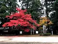 豊栄神社の写真_399273