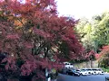 瀧塔山 龍蔵寺の写真_399302