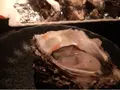 OYSTER BAR 酒肆石花の写真_399379