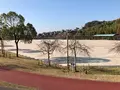 下松スポーツ公園の写真_399472