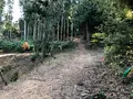 般若寺の写真_399482