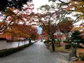 紅葉谷公園の写真_399522
