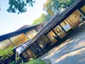 明治神宮の写真_400007