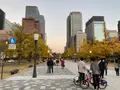 皇居外苑の写真_400068
