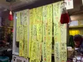 たつみの写真_401291