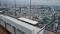 渋谷スカイ（SHIBUYA SKY）の写真_401362