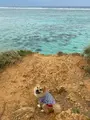 ザネー浜の写真_401606
