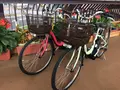 須坂市観光協会須坂市蔵のまち観光交流センターの写真_401623