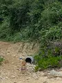 連道原貝塚の写真_401628