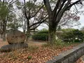 石山公園の写真_401690