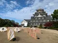 岡山城の写真_401701