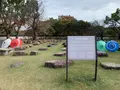 岡山城の写真_401702