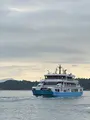 JR西日本宮島フェリーの写真_401770