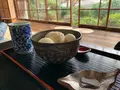 芙蓉の写真_401892