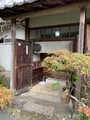 芙蓉の写真_401894