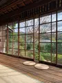 芙蓉の写真_401895