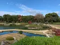 岡山後楽園の写真_401973