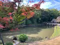 岡山後楽園の写真_401974