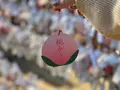 吉備津彦神社の写真_402112