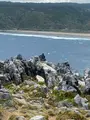 辺戸岬の写真_402130