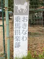 おきなわ乗馬倶楽部の写真_402596