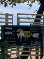 おきなわ乗馬倶楽部の写真_402597