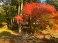 菩提寺の写真_402883