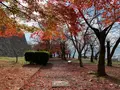 津山城跡の写真_403169