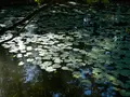 天授庵の写真_403211