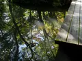 天授庵の写真_403214