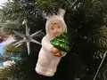 クリスマスカンパニーの写真_403349