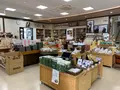 津山観光センターの写真_403425