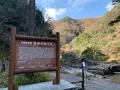 奥津渓の写真_403429