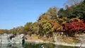 長瀞渓谷（岩畳）の写真_403795