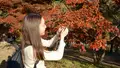 月の石もみじ公園の写真_403800