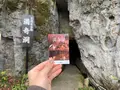 満奇洞の写真_405045