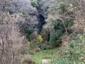 羅生門の写真_405054