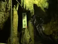 井倉洞の写真_405136
