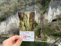 井倉洞の写真_405137